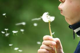 Allergies saisonnières et Réflexologie !