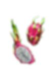 Dragon Fruit