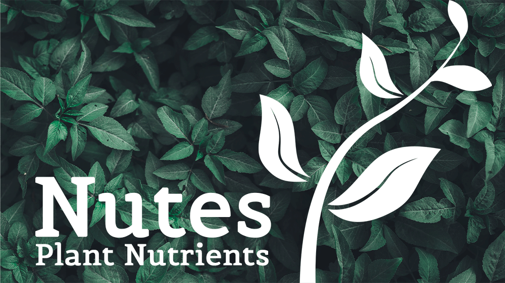 Plant Nutrients Sources & Uses