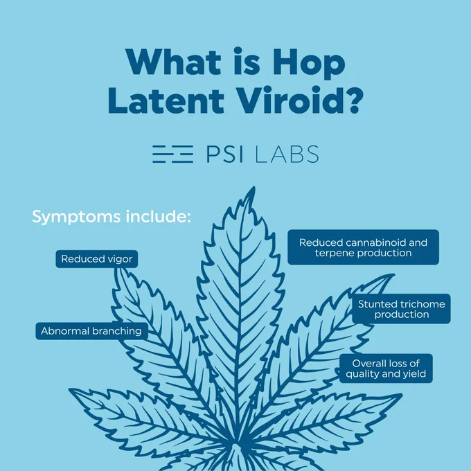 Cannabinoid Hyperemesis