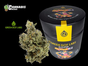Green Dot Labs | Belgium Blü