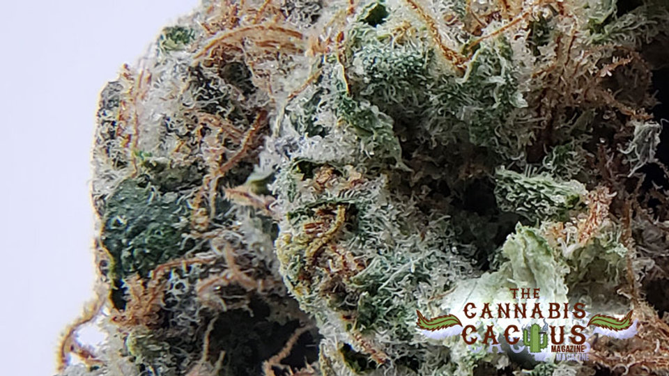 Wedding Cake by Mint Dispensary