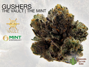 Gushers by The Vault | The Mint