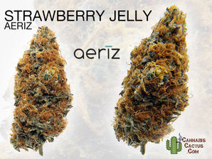 Strawberry Jelly by Aeriz