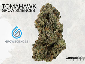 Tomahawk by Grow Sciences