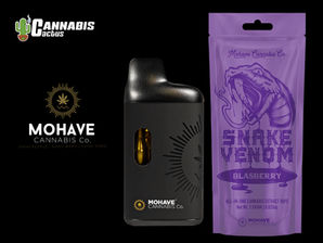 Mohave Cannabis | Snake Venom