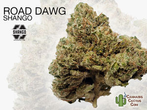Road Dawg by Shango Cannabis