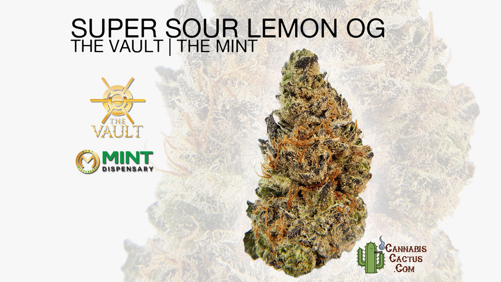 Super Sour Lemon OG by The Vault The Mint