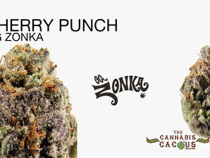 Cherry Punch by OG Zonka