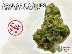 Orange Cookies by The Superior