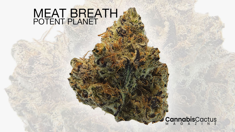 Meat Breath by Potent