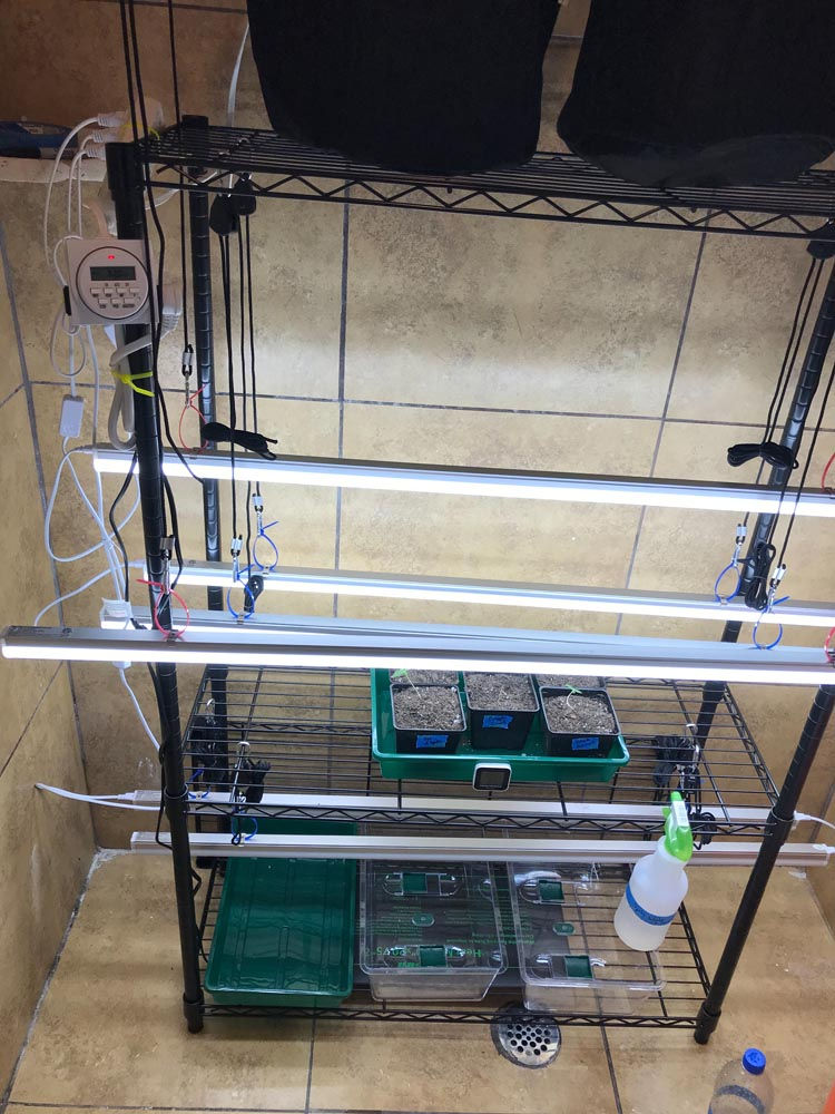 Grow At Home Equipment