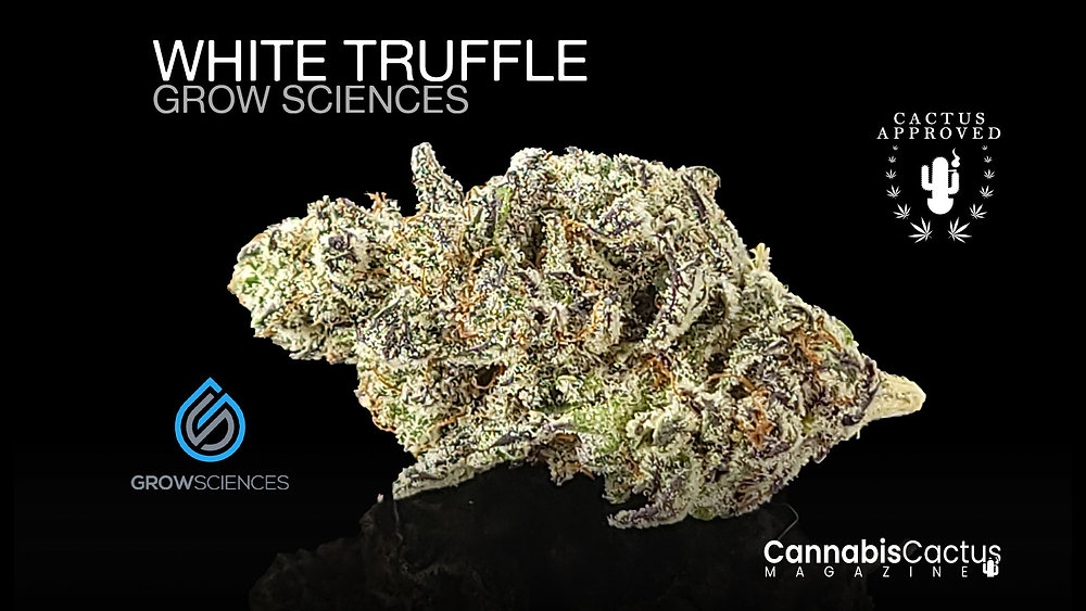 White Truffle by Grow Sciences