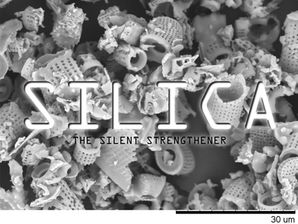 The Silent Strengthener: How Silica Fortifies Your Cannabis Plant From the Inside Out