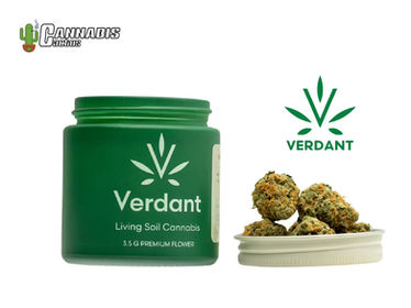 Verdant Cannabis AZ | Hammerland
