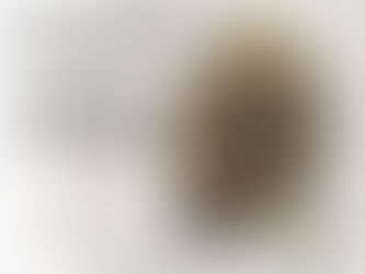 Grand Poobah by Local Flower