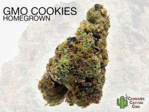 GMO Cookies by Baker Farms