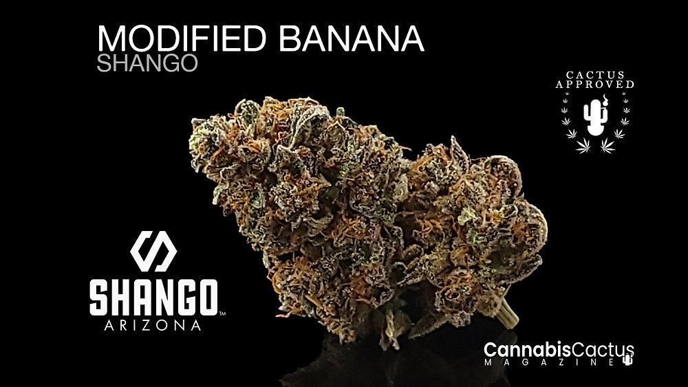 Modified Banana by Shango Cannabis Co.