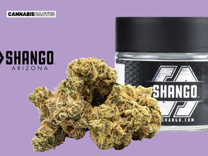 Shango Cannabis | Modified Banana