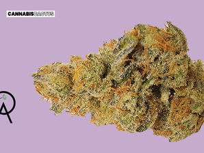 Abundant Organics | Joker's Stash Super 1/8th - 4.5g
