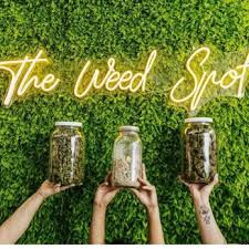 Cannabis Lounges - The Weed Spot