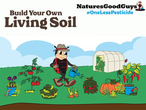 #OneLessPesticide: Building a Healthier Garden with Beneficial Insects from Nature’s Good Guys