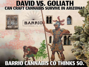 Can Craft Cannabis Survive in Arizona? Barrio Cannabis Co Thinks so.
