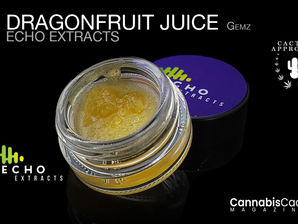 Dragon Fruit Juice by Echo Extracts