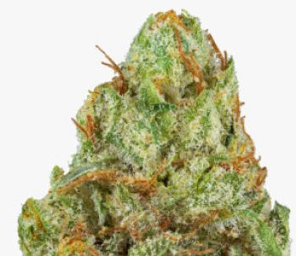 All Greens VN White