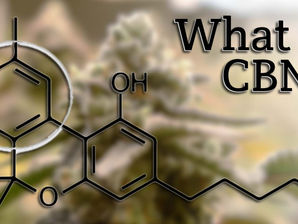 What is CBN? | Health