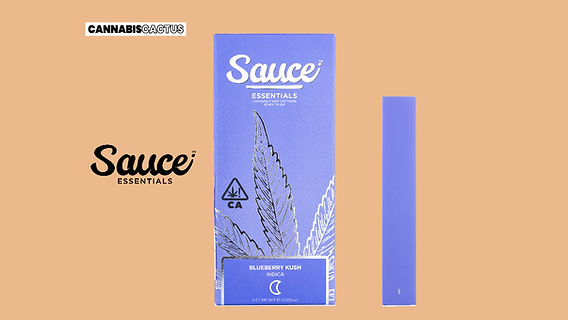 Sauce | Blueberry Kush Disposable Vape Pen Sauce | Blueberry Kush Disposable Vape Pen