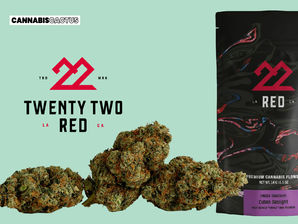 22 Red | Cuban Gaslight