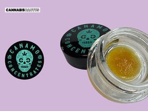 Canamo | Miracle Alien Cookies Cured Sugar Wax