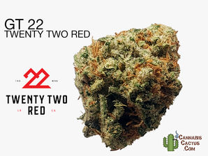 GT 22 | Twenty Two Red