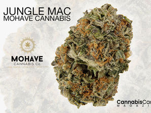 Jungle MAC by Mohave Cannabis