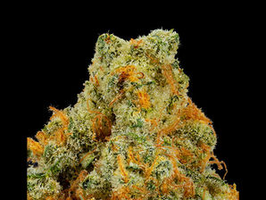 Dosido 9 by Phoenix Cannabis Co.