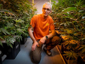 Instagram Video Lands Vermont Cannabis Grower in Hot Water
