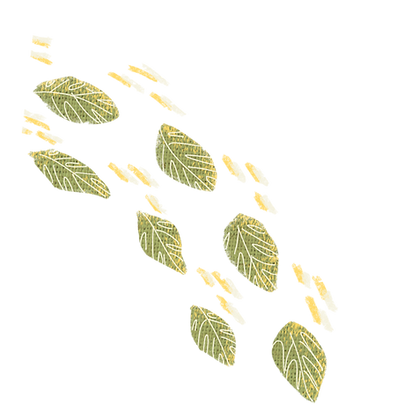 leaf-1_edited.png