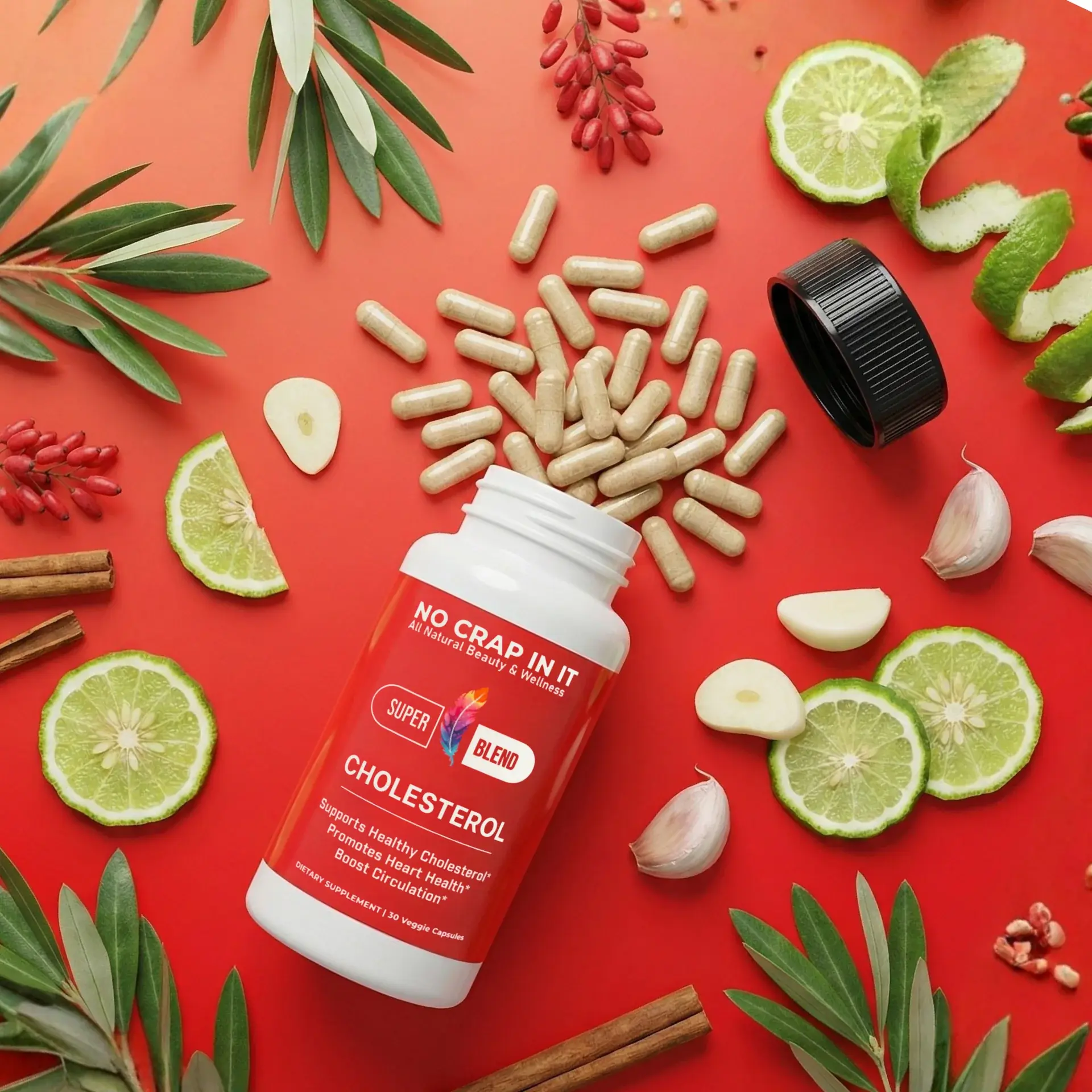 Cholesterol Super Blend Supplement- No Crap In It