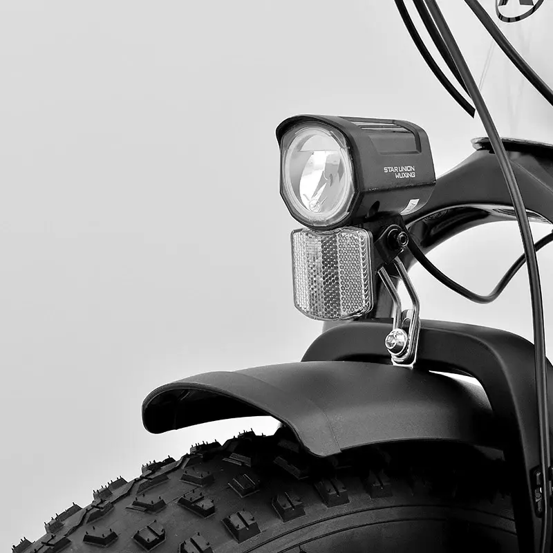 Miniatura: Viketory FATBike Lithor