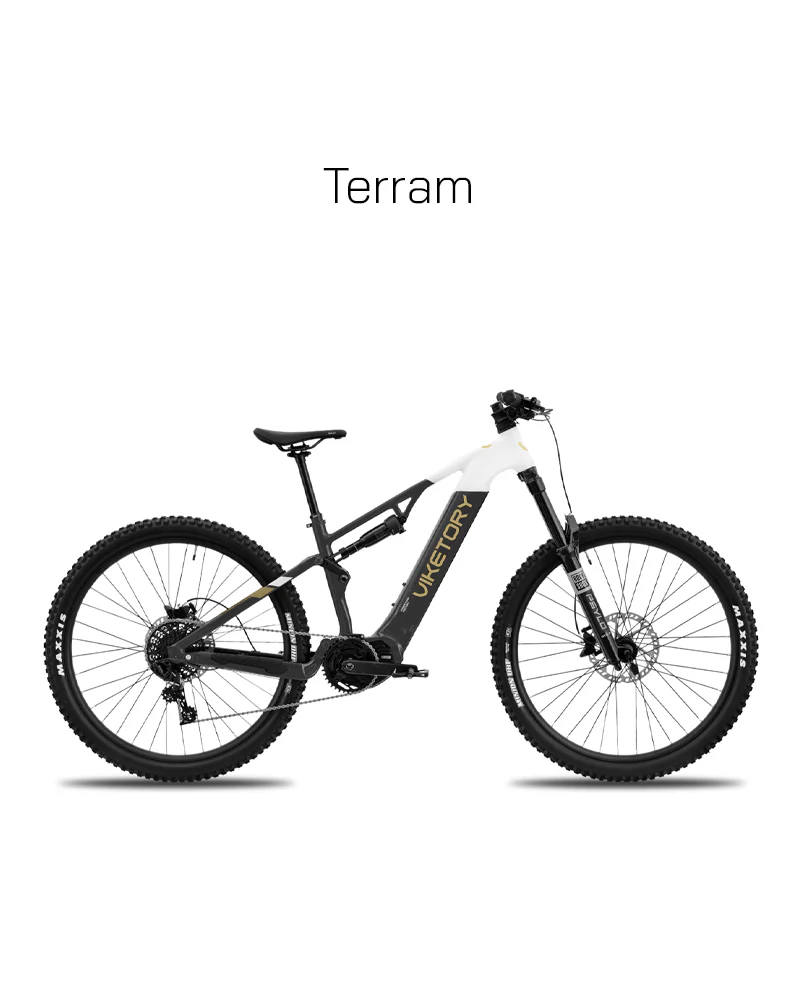 Viketory Ebike Terram