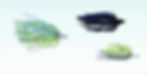 Website Products (4)_edited.jpg