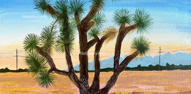 Desert_Joshua Tree