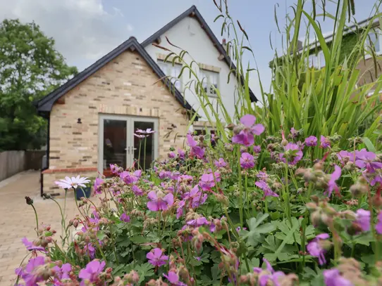 Beautiful garden annexe with landscaping