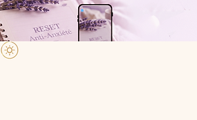 reset accueil.png