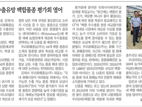 경인일보 조간 지면- 우리화훼종묘 수출 유망 백합품종 평가회 