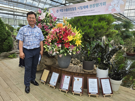 전국 매일신문-백합 수출 유망품종 시험재배 현장 평가회 성료