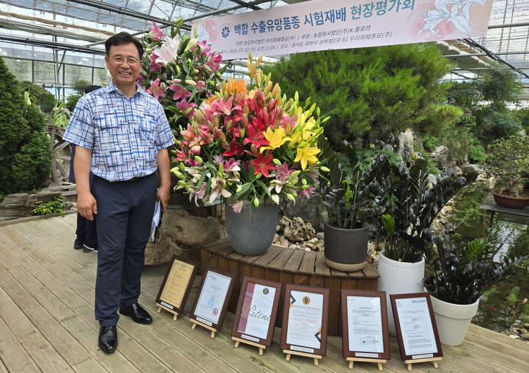 전국 매일신문-백합 수출 유망품종 시험재배 현장 평가회 성료