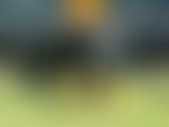 LISTA LA PRETEMPORADA VERDE
