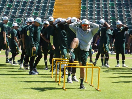 LISTA LA PRETEMPORADA VERDE